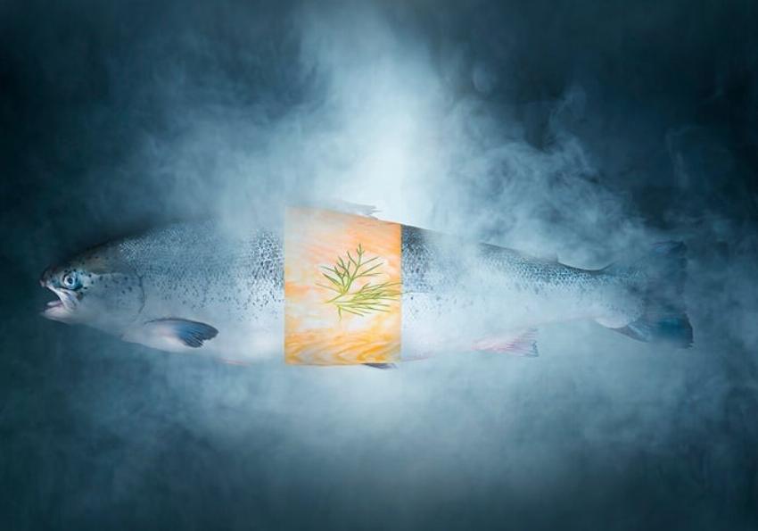 Nhiệt độ bảo quản thực phẩm