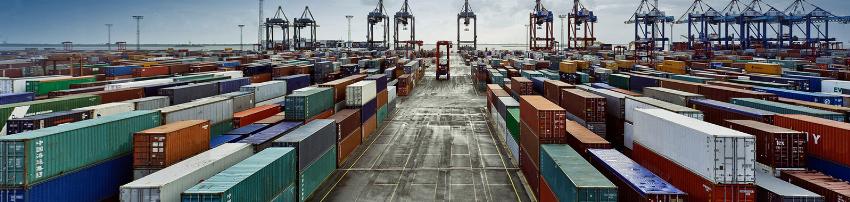 Quy trình vận chuyển đông lạnh